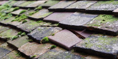 Llaneilian roof repair costs